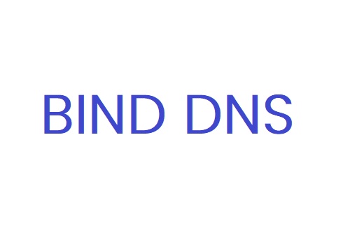 BINDS DNS